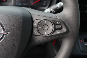 OPEL Cargo -e/ Edition/Holzboden/SOFORT Lieferbar