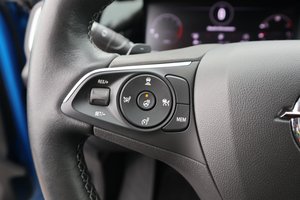 OPEL Grandland ULTIMATE ! beste Ausst/ LEDER! / AHK !