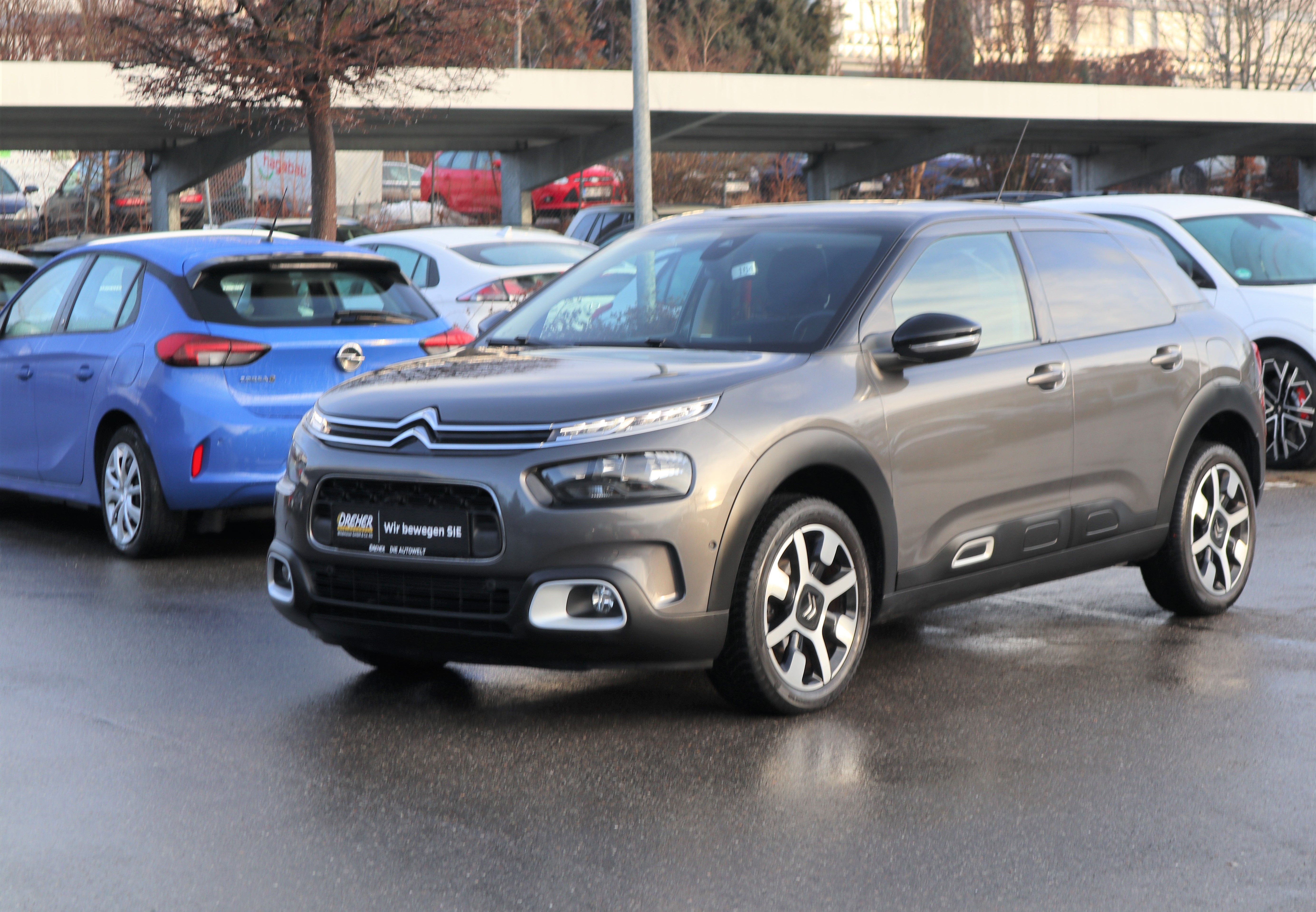 CITROEN C4 CACTUS "Shine" / NAVI / RÜ-KAMERA / KD neu !